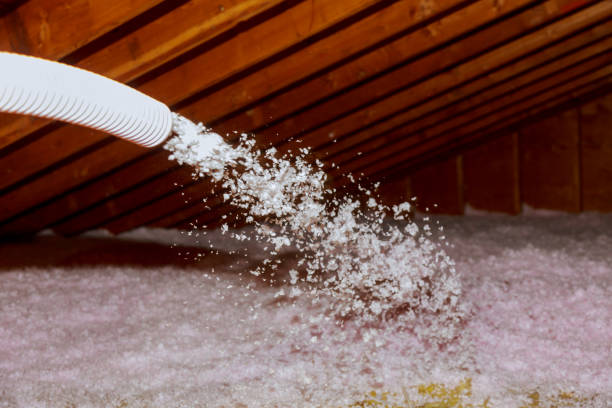 Best Insulation for Specific Applications in Carrollwood, FL