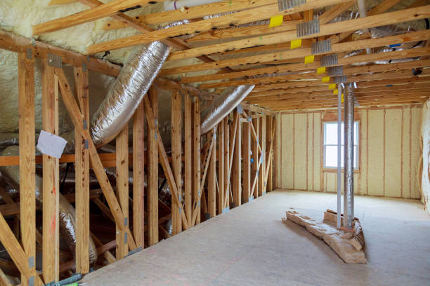 Types of Insulation We Offer in Carrollwood, FL