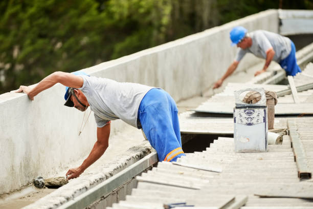 Best Energy Efficiency Insulation in Carrollwood, FL