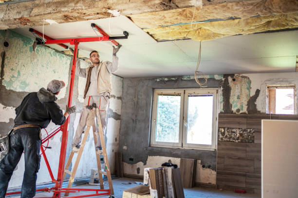 Best Geographic-Specific Insulation Services in Carrollwood, FL