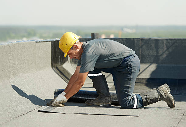Best Commercial Insulation in Carrollwood, FL
