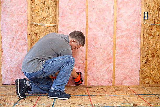 Best Eco-Friendly Insulation in Carrollwood, FL