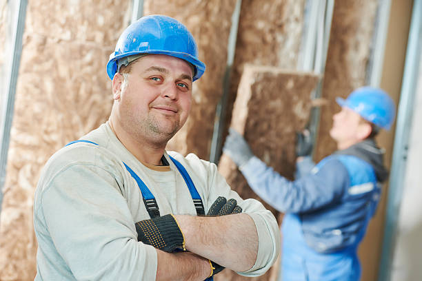 Best Cellulose Insulation in Carrollwood, FL
