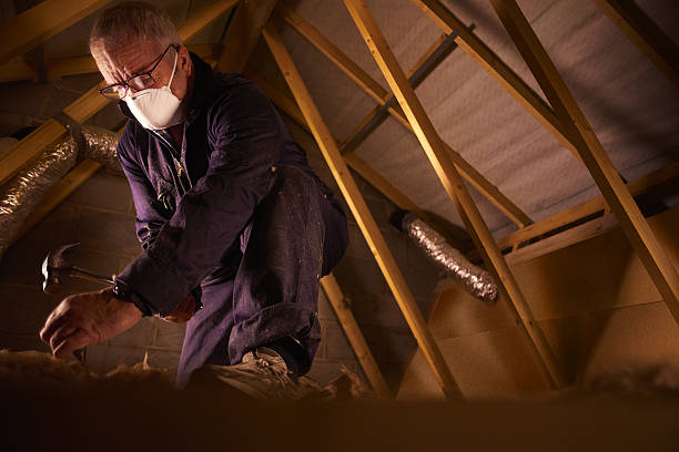 Trusted Carrollwood, FL Insulation Contractor Experts